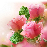 Karen Grong Andersen